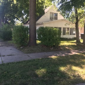 Bush Trimming by Mckinneys Lawn & Tree Care reviewed on August 20, 2025