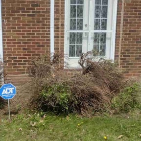 Bush Trimming by Bean Sprout Lawn Service LLC reviewed on May 10, 2024