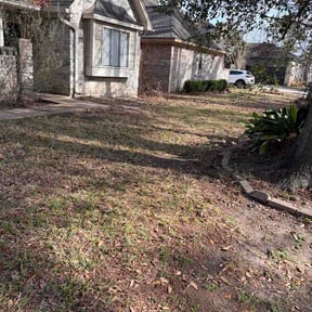 Leaf Removal by Wkwross Lawn Care and 72154 reviewed on March 21, 2026