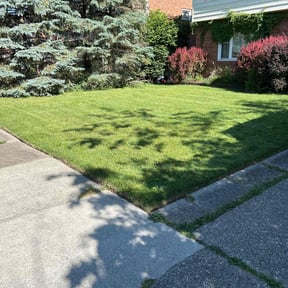 residential landscaping by USA Lawncare Inc reviewed on August 16, 2025
