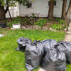 Leaf Removal by The Yard Man reviewed on July 23, 2026