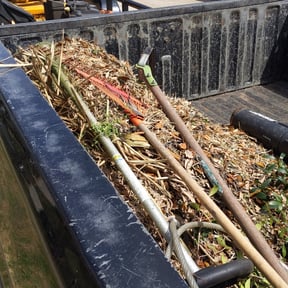 Leaf Removal by TNT lawns reviewed on September 10, 2025