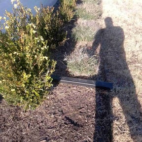 Flower Bed Weeding by Todd's Lawn Care reviewed on January 30, 2026