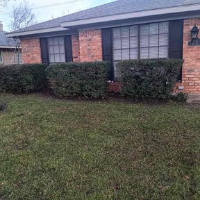 Bush Trimming by Banda Landscaping reviewed on August 16, 2025