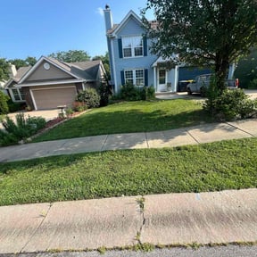 yard maintenance by Medina's Landscaping  reviewed on November 24, 2025