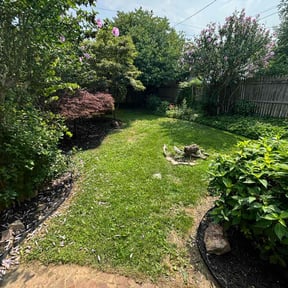 turf care by Manuel's lawn care reviewed on May 15, 2024