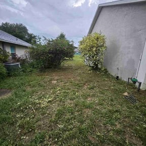 Bush Trimming by Hennesay Yard Clean up reviewed on August 16, 2025