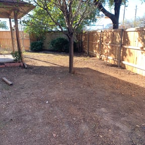 Leaf Removal by Andrés Cuts reviewed on March 12, 2024