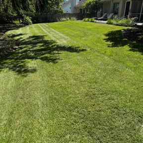 turf care by P&J Landscaping LLC reviewed on April 18, 2018