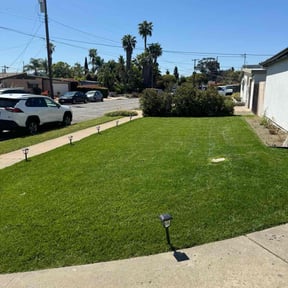 gardening service by Smack Down lawns and tractor services reviewed on May 20, 2023