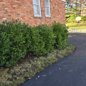 Leaf Removal by Lawn and Labor Services reviewed on November 22, 2025