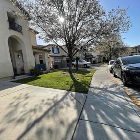 yard work by Nates Lawn Service reviewed on August 15, 2025