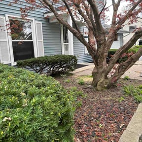 Bush Trimming by South Texas Lawn and Home services reviewed on April 27, 2026