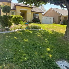 yard service by Bennett Lawn Care reviewed on August 16, 2025