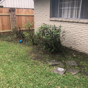 Bush Trimming by V&E Landscaping and Lawn Care.... reviewed on August 15, 2025