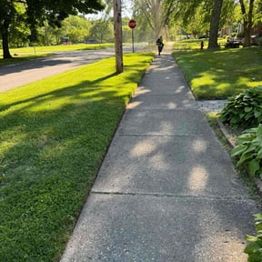 landscape maintenance by Troy's Lawn Care reviewed on August 19, 2025
