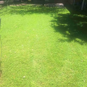 gardening service by Premium Design Landscaping Inc reviewed on November 22, 2025