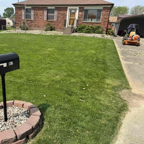 gardening service by Green landscape reviewed on April 14, 2024