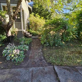 Leaf Removal by V&E Landscaping and Lawn Care.... reviewed on September 6, 2025