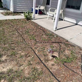 Flower Bed Weeding by MBM MOWING reviewed on September 13, 2026