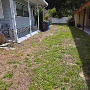 Bush Trimming by P@G Landscaping LLC reviewed on April 16, 2026