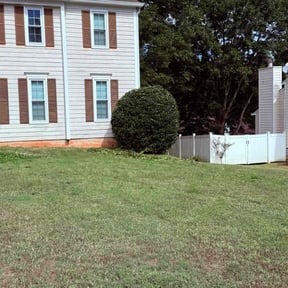 Bush Trimming by K V Lawncare reviewed on January 26, 2026