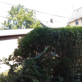 Bush Trimming by Farley's Lawn &amp; Land Solutions reviewed on August 22, 2026
