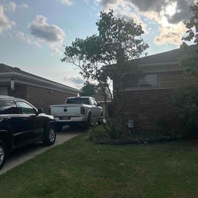 Bush Trimming by Benitez Lawn Services reviewed on July 19, 2026
