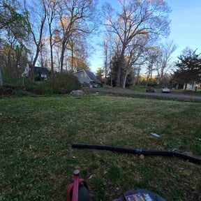 Leaf Removal by Jay's Tree and Lawn reviewed on April 24, 2026