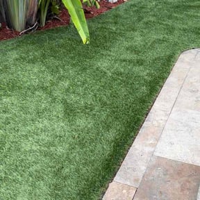 Leaf Removal by Quality Lawn Care reviewed on September 25, 2025