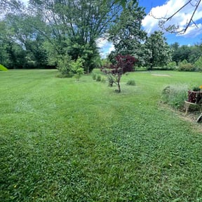 landscaping by Ortiz Landscaping reviewed on April 24, 2024