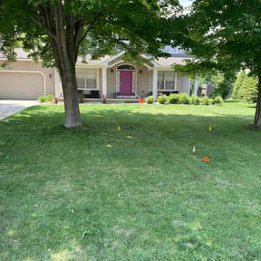 landscaping services by Felo Pride lawn services reviewed on November 24, 2025