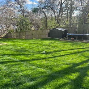 turf care by Text 2 Cut Lawn Care LLC reviewed on May 13, 2024