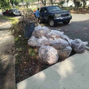 Leaf Removal by B&amp;C Lawn and Landscaping LLC reviewed on June 3, 2026