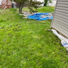 Leaf Removal by Contreras Outdoors reviewed on September 8, 2025