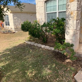 Bush Trimming by L&D Lawn Care Inc. reviewed on August 18, 2025