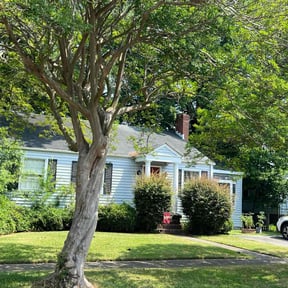 yard work by K&amp;T Landscape reviewed on November 20, 2025