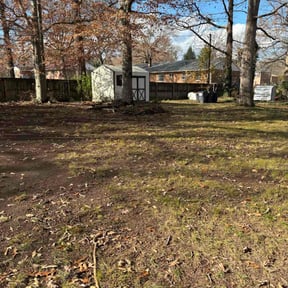 Leaf Removal by TwalightScaping reviewed on November 26, 2025