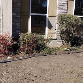 Bush Trimming by YardPro reviewed on February 8, 2026