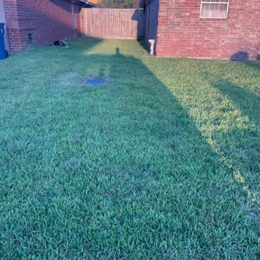 yard maintenance by Platinum Lawns and Landscaping  reviewed on November 27, 2025