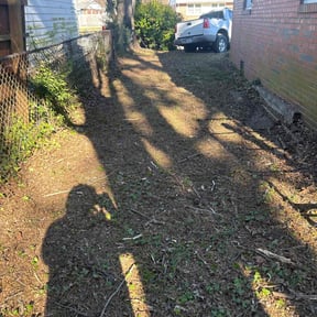 Leaf Removal by Landscaping BY ARSA reviewed on July 20, 2026