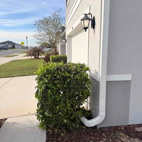 Bush Trimming by Douglas Lawn and Services LLC reviewed on March 26, 2026