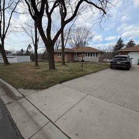 Leaf Removal by Sumner Property Management reviewed on July 22, 2026