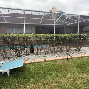 Bush Trimming by Eco Landscape &amp; Design reviewed on November 9, 2025