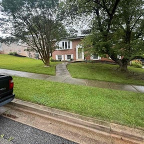 yard care by Elite Care reviewed on June 20, 2025