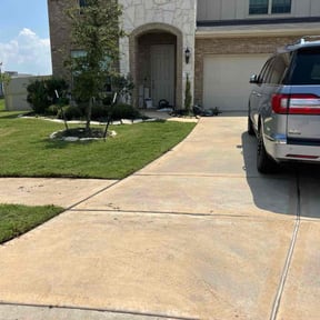 yard maintenance by Ecolawns landscaping company reviewed on August 19, 2025