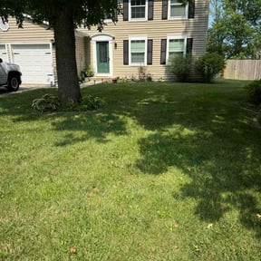 residential landscaping by Contreras Outdoors reviewed on August 15, 2025