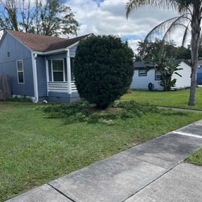 Bush Trimming by R &amp;M landscaping. reviewed on October 19, 2025