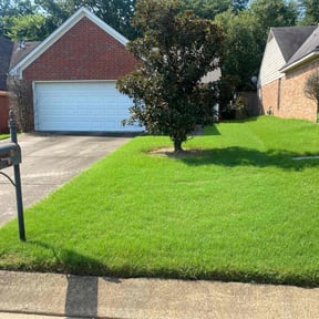 yard service by Lomax Lawns reviewed on August 17, 2025