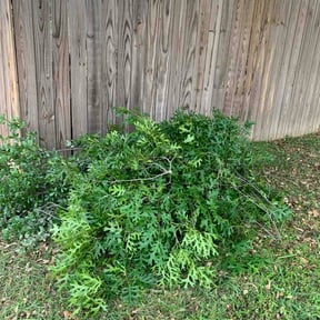Bush Trimming by RNB Mowing reviewed on May 1, 2026